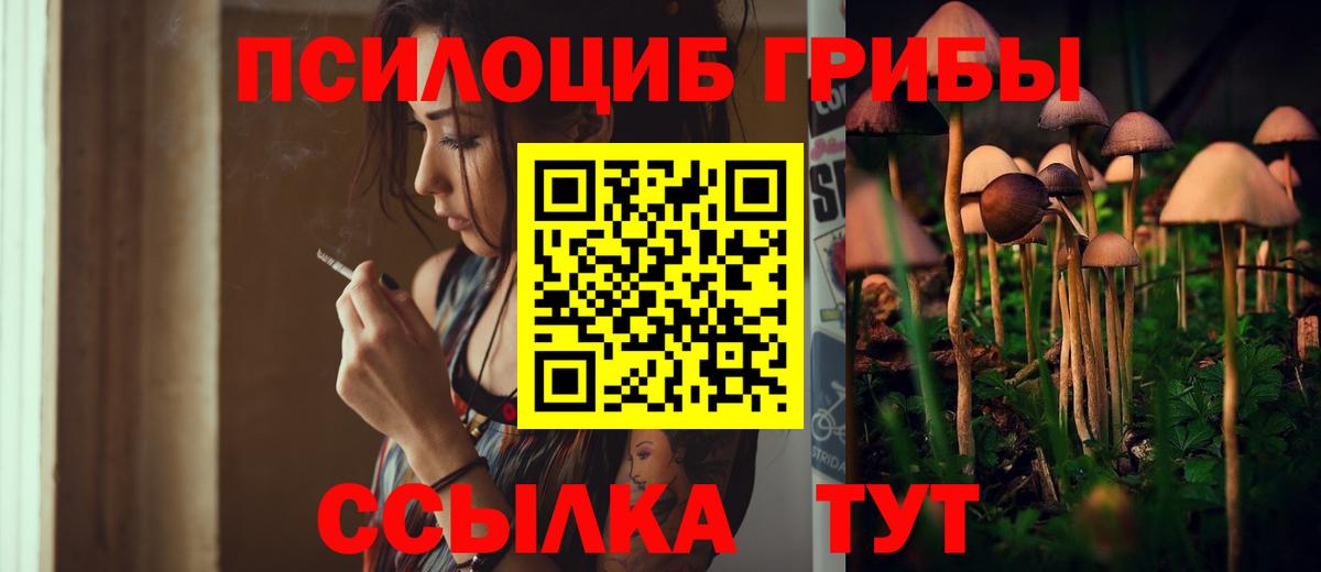 Псилоцибиновые грибы Psilocybine cubensis Сергиев Посад